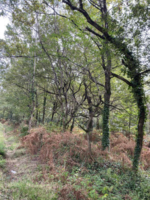 Terrain agricole - 14 000 m²