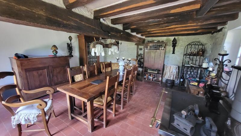 Viager - Maison ancienne - 114 m² - 4 pièces