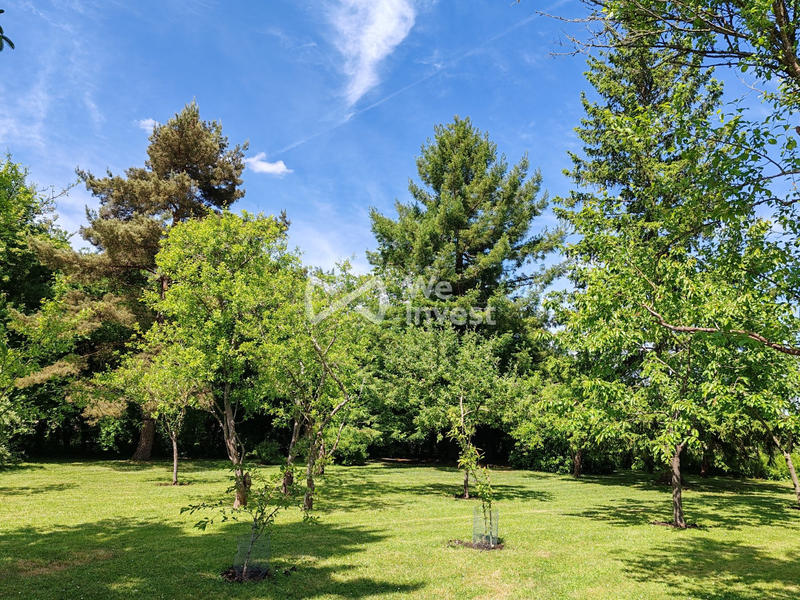 Maison ancienne - 200 m² - 7 pièces