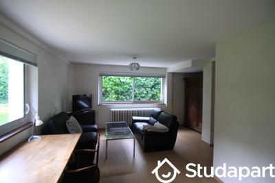 Appartement - 55 m² - 2 pièces