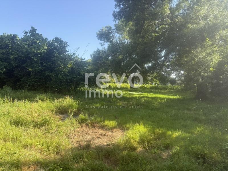 Terrain constructible - 1 134 m²