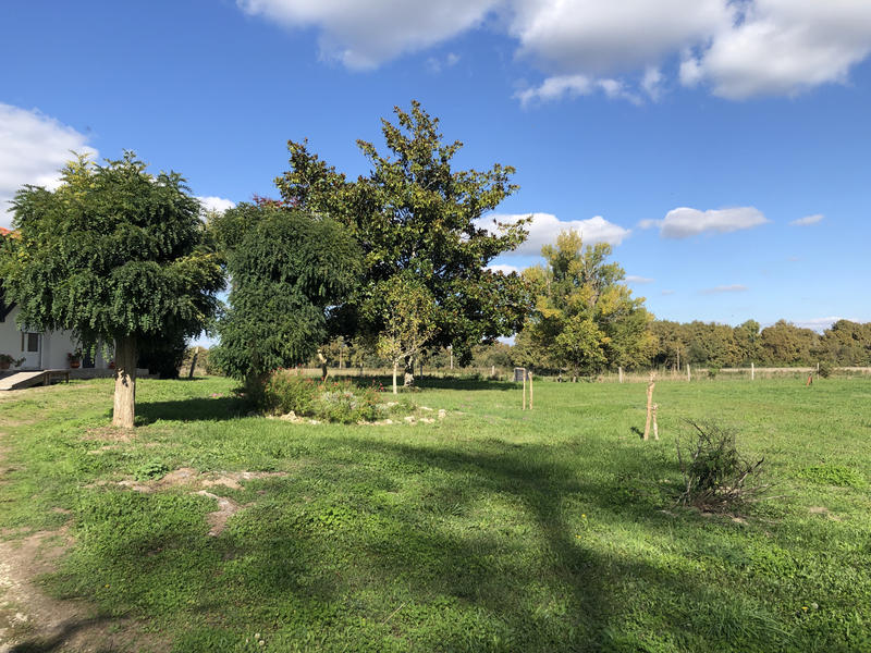 Viager - Maison - 124 m² - 4 pièces