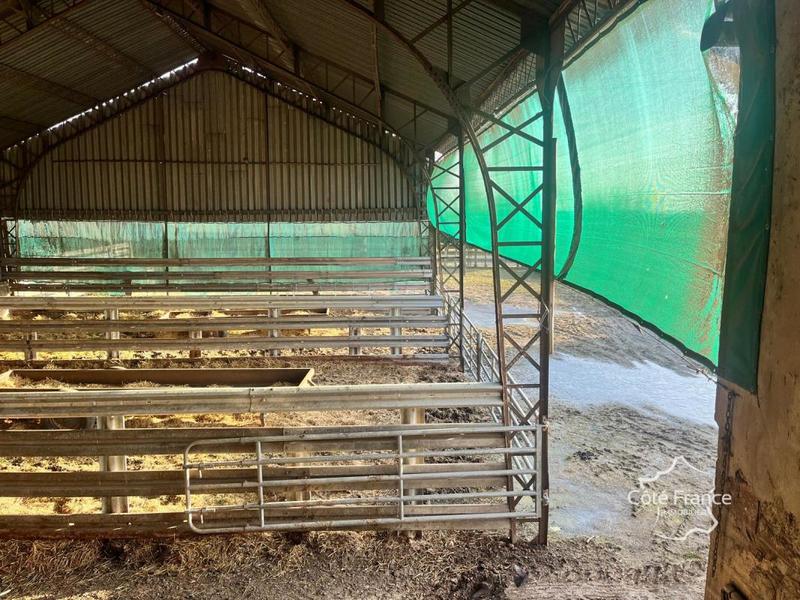 Ferme - 100 m² - 3 pièces