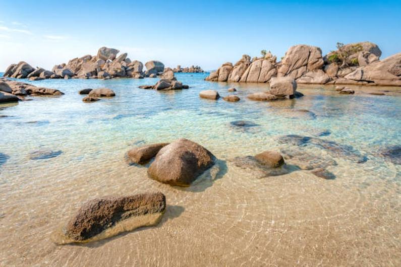 Appartement - 130 m² - 5 pièces