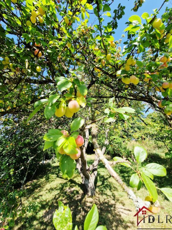 Maison de village - 73 m² - 3 pièces