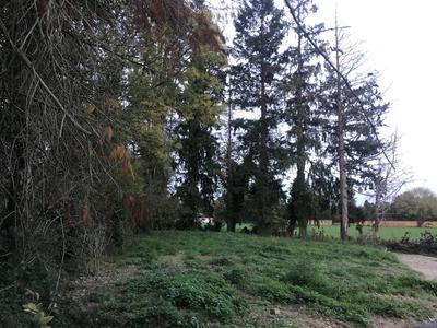 Terrain - 1 009 m²