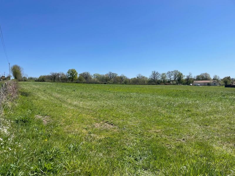 Terrain - 17 856 m²