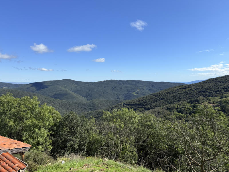 Mas - 538 m² - 13 pièces