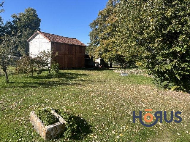Viager - Maison - 165 m² - 6 pièces