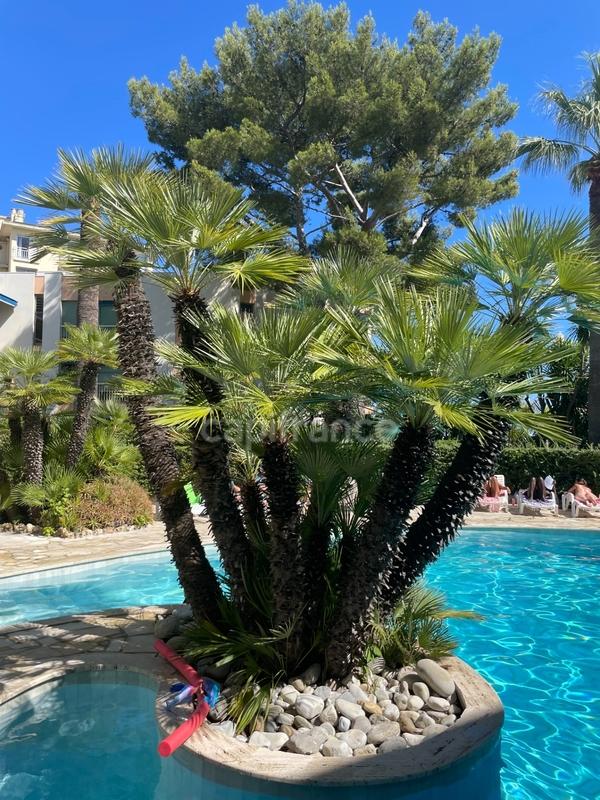 Appartement - 83 m² - 3 pièces