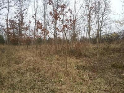 Terrain - 15 500 m²