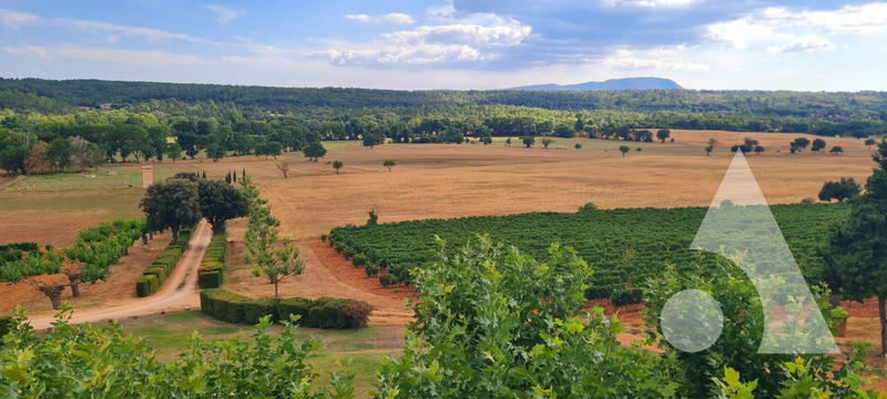 Château - 1 200 m² - 20 pièces