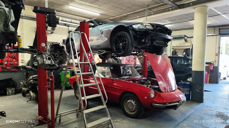 Fonds de commerce - 260 m²