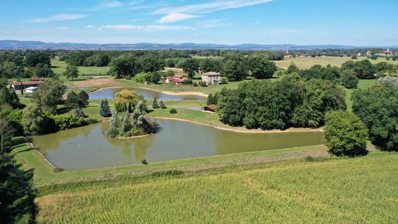 Terrain - 76 095 m²