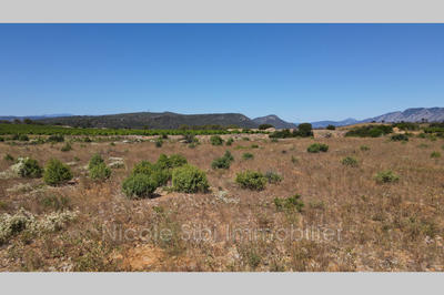 Terrain agricole - 10 255 m²