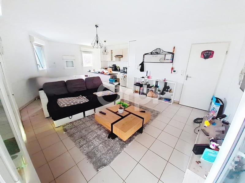 Appartement - 55 m² - 2 pièces