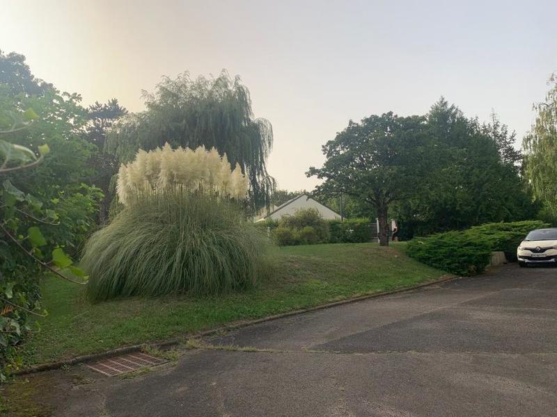 Studio - 25 m² - 1 pièce