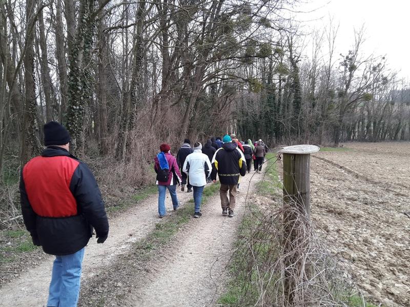 Marche populaire internationale d'hiver