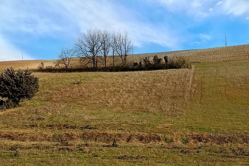 Terrain agricole - 3 282 m²