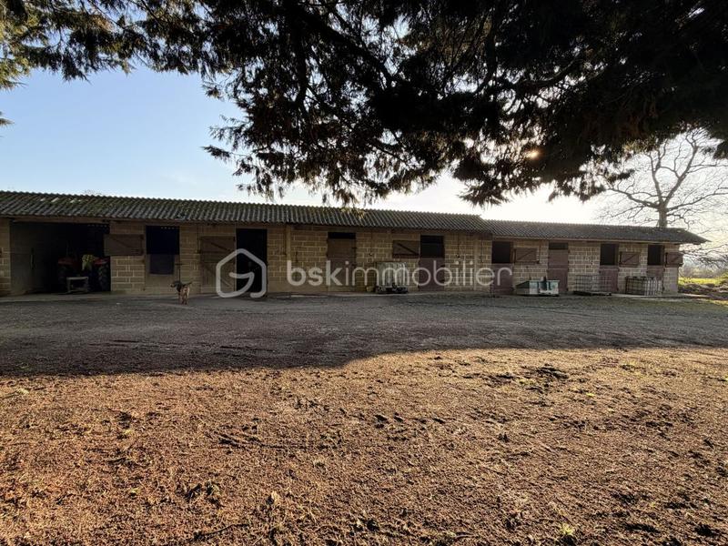 Maison de domaine équestre - 155 m² - 7 pièces