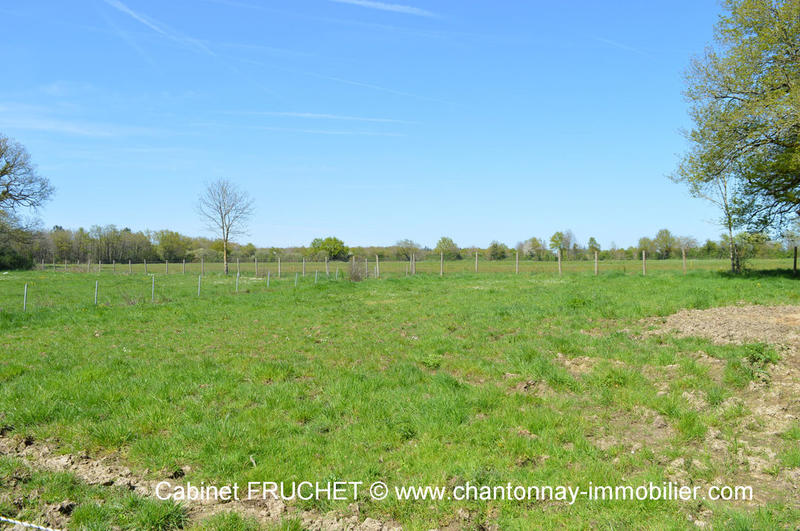 Maison - 132 m² - 6 pièces