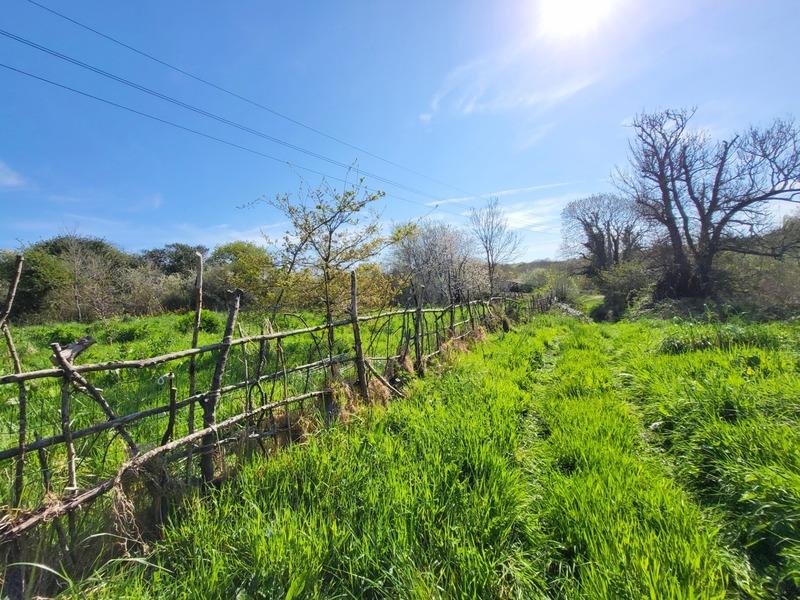 Hangar - 520 m² - 1 pièce