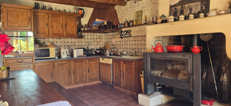 Viager - Maison ancienne - 248 m² - 11 pièces