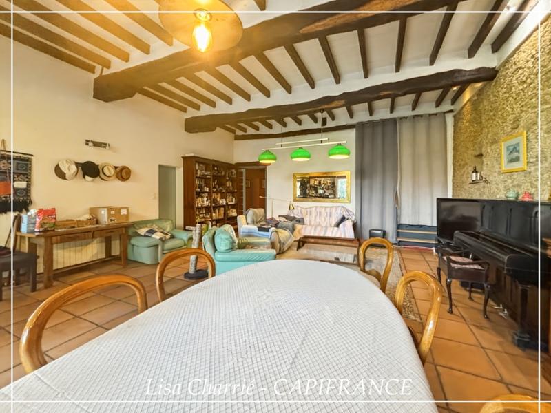 Maison en pierre - 236 m² - 8 pièces