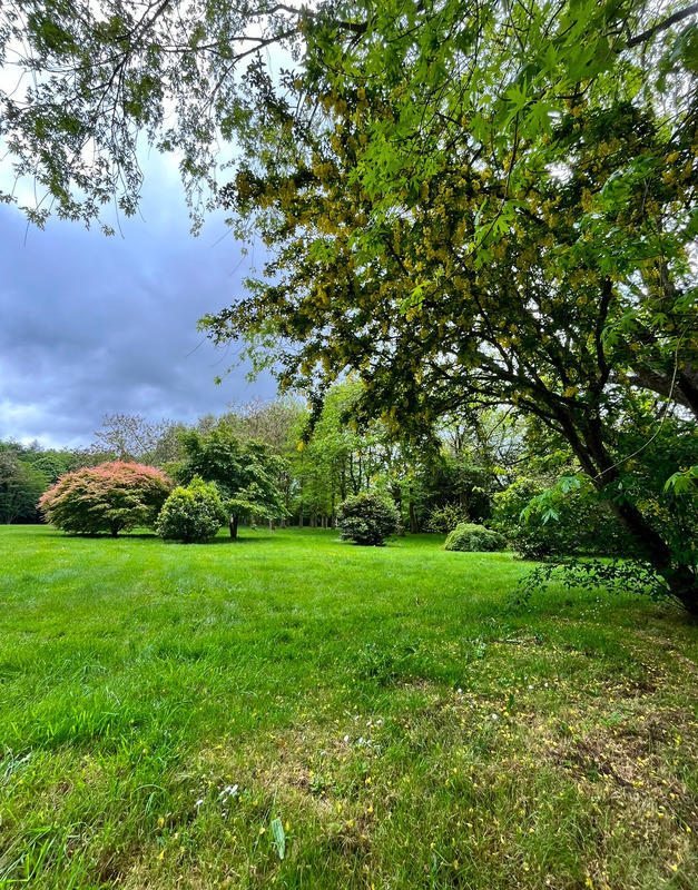 Maison en pierre - 290 m² - 9 pièces