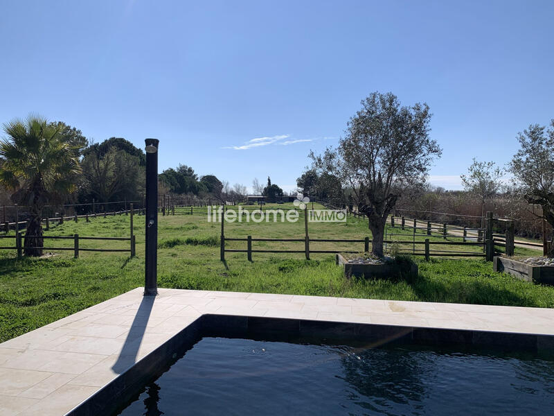 Mas - 238 m² - 7 pièces