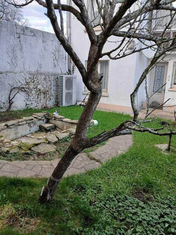 Maison - 138 m² - 7 pièces