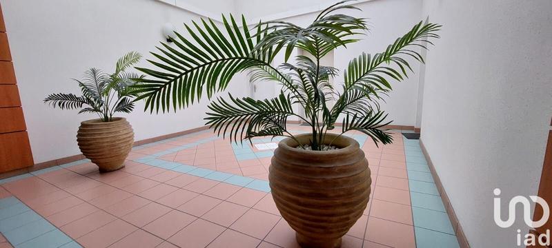 Duplex - 61 m² - 3 pièces