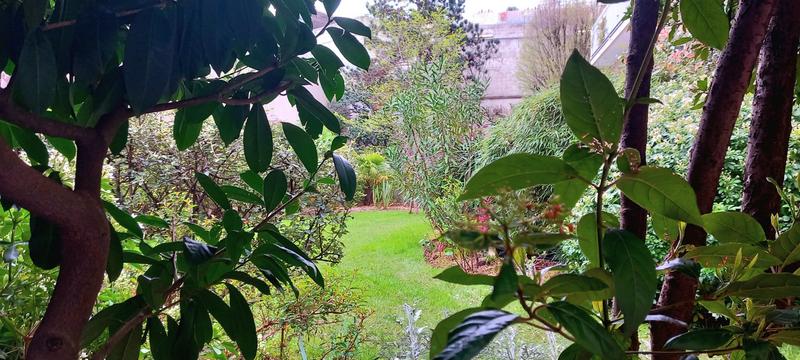 Studio - 27 m² - 1 pièce