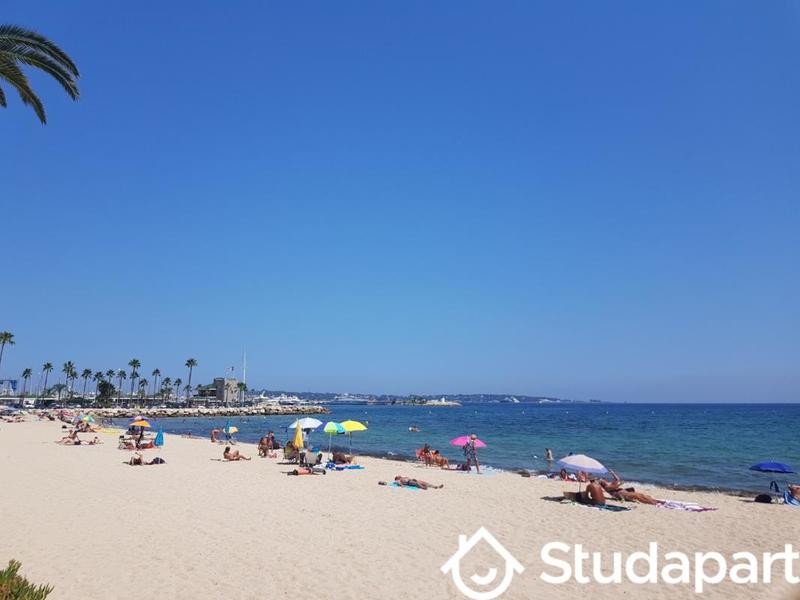 Appartement - 19 m² - 1 pièce