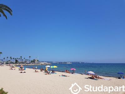 Appartement - 19 m² - 1 pièce