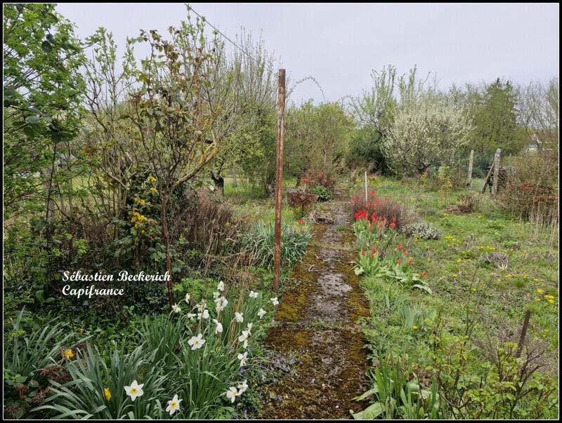 Maison - 126 m² - 5 pièces