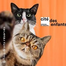 Cité des Enfants 5-10 ans