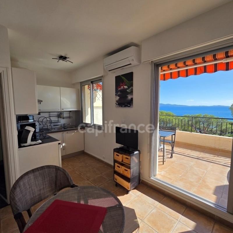 Studio - 27 m² - 1 pièce