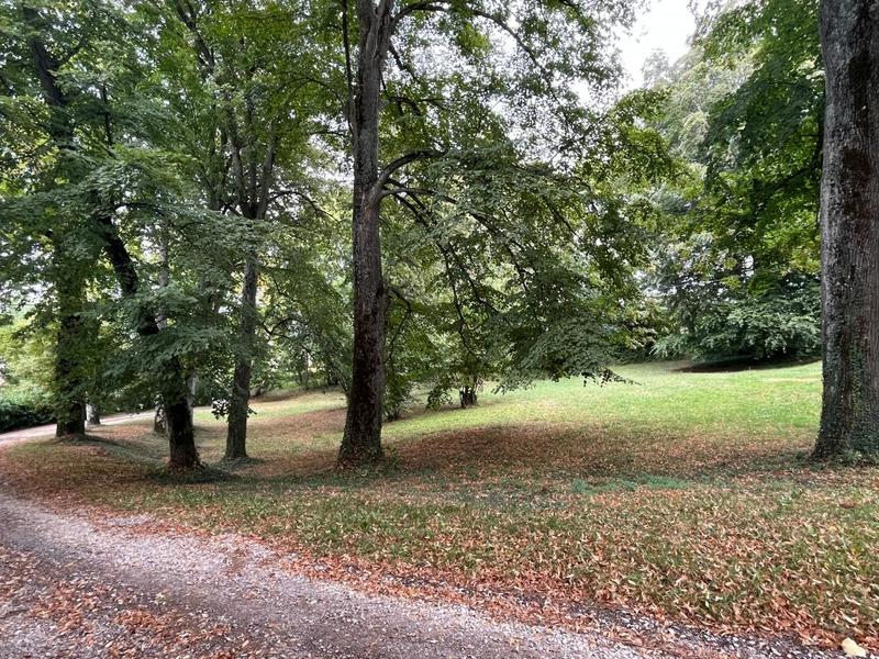 Maison de maîtres - 716 m² - 13 pièces