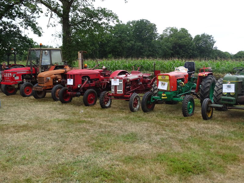 Fête et brocante à l'étang de la Chaume