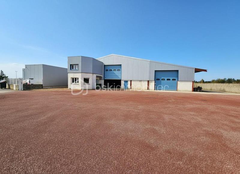 Bureau - 770 m² - 8 pièces