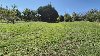Terrain - 700 m²