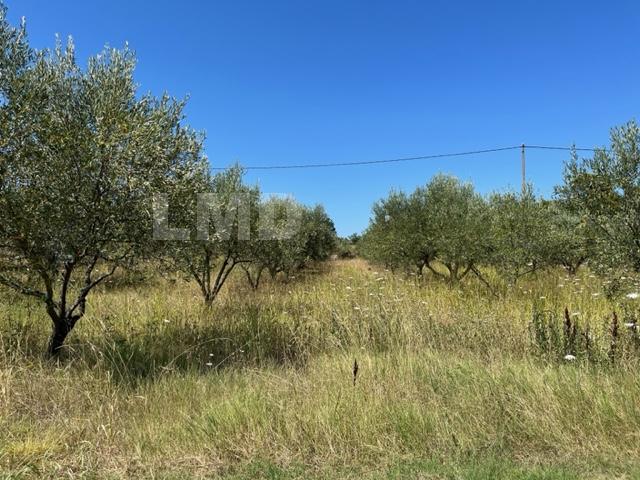Terrain - 7 460 m²