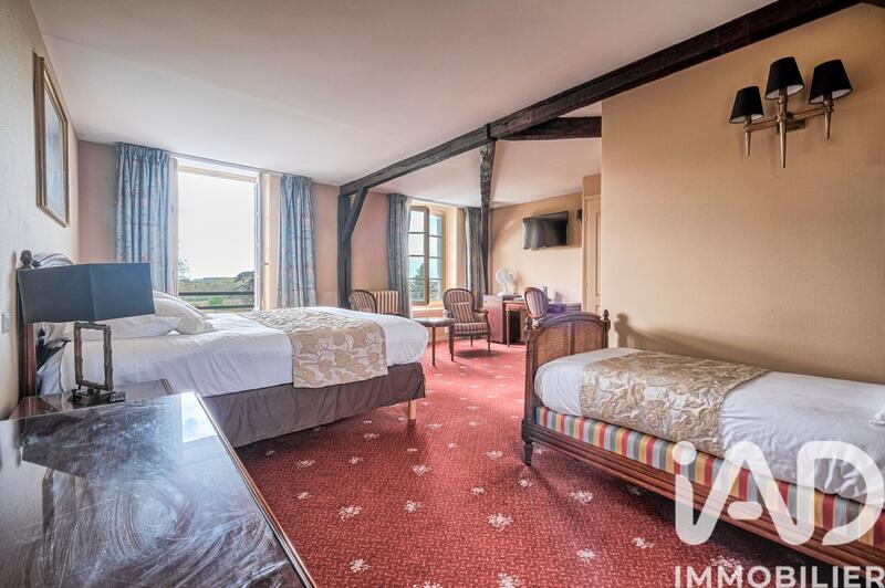 Château - 1 230 m² - 23 pièces