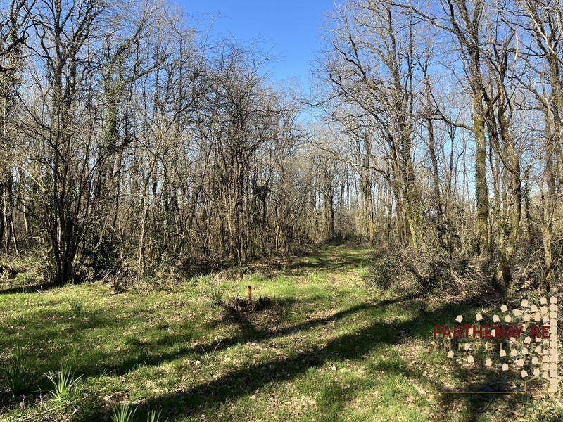 Maison - 99 m² - 6 pièces