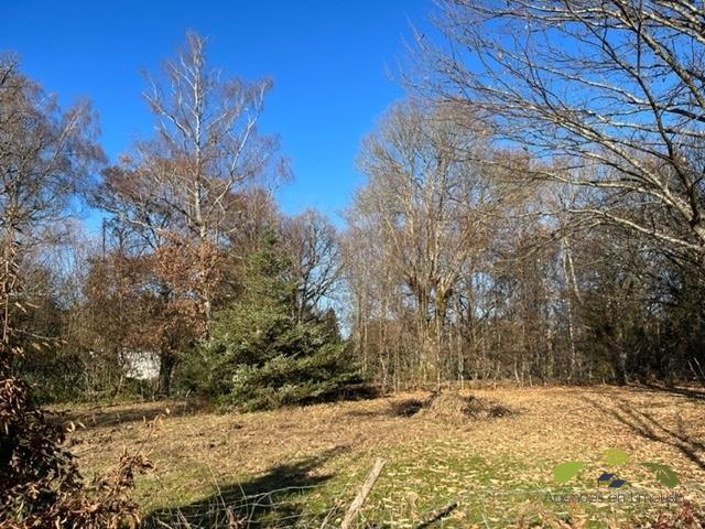 Terrain constructible - 659 m²