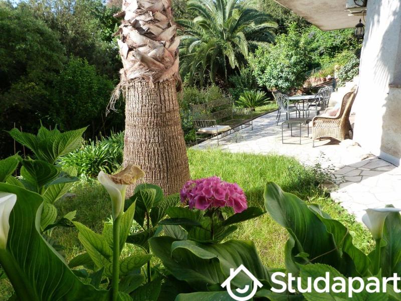 Chambre - 9 m² - 1 pièce