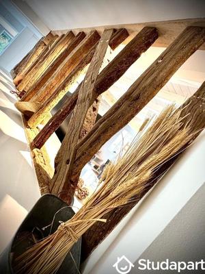 Chambre - 15 m² - 1 pièce