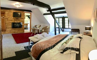 Propriété - 533 m² - 14 pièces