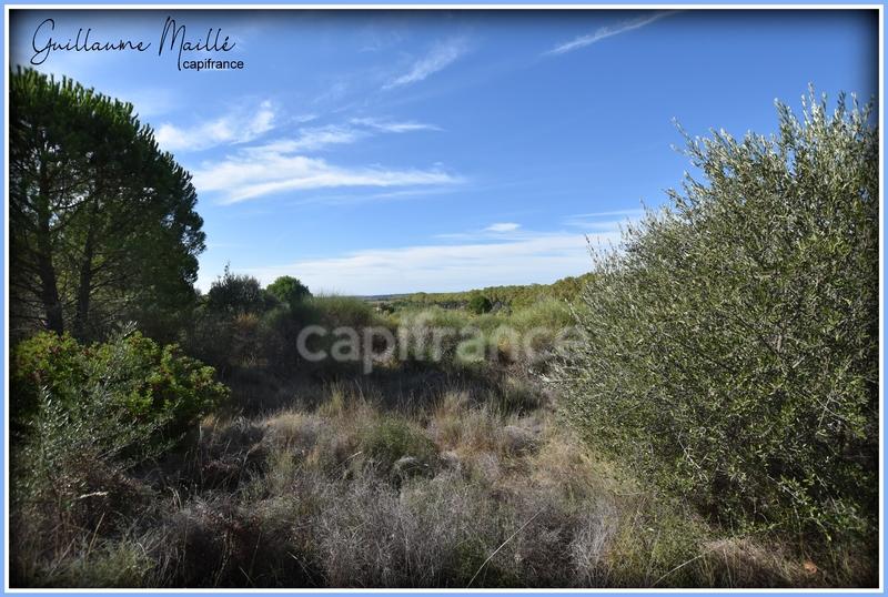 Terrain agricole - 19 630 m²